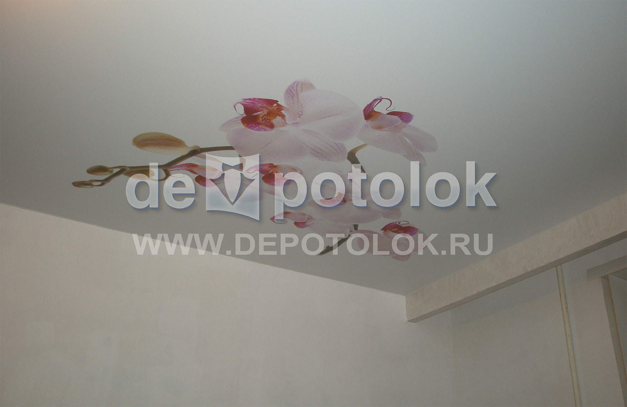 Натяжные потолки с рисунком цены